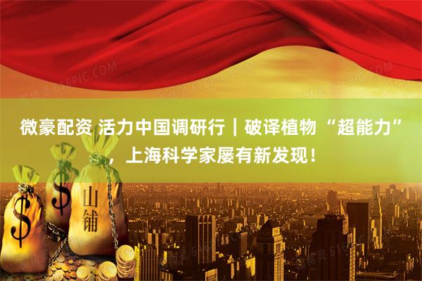 微豪配资 活力中国调研行｜破译植物 “超能力”，上海科学家屡有新发现！