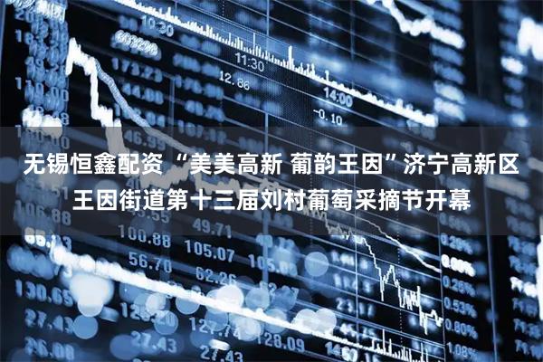 无锡恒鑫配资 “美美高新 葡韵王因”济宁高新区王因街道第十三届刘村葡萄采摘节开幕
